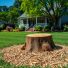 Stump Grinding Prices Dalton GA